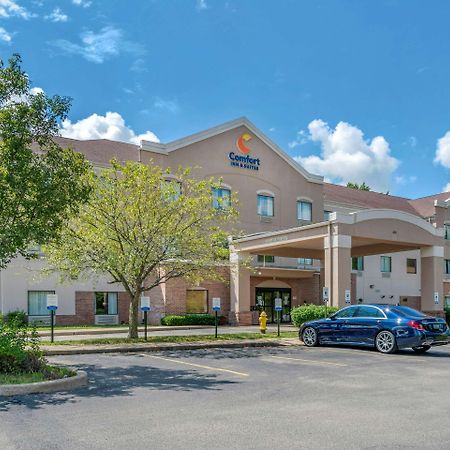 Comfort Inn & Suites St Louis-או'פאלון מראה חיצוני תמונה